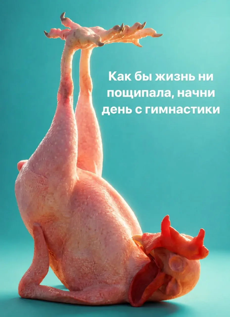 ИИ уже учит жизни даже курицу | Сетка — социальная сеть от hh.ru