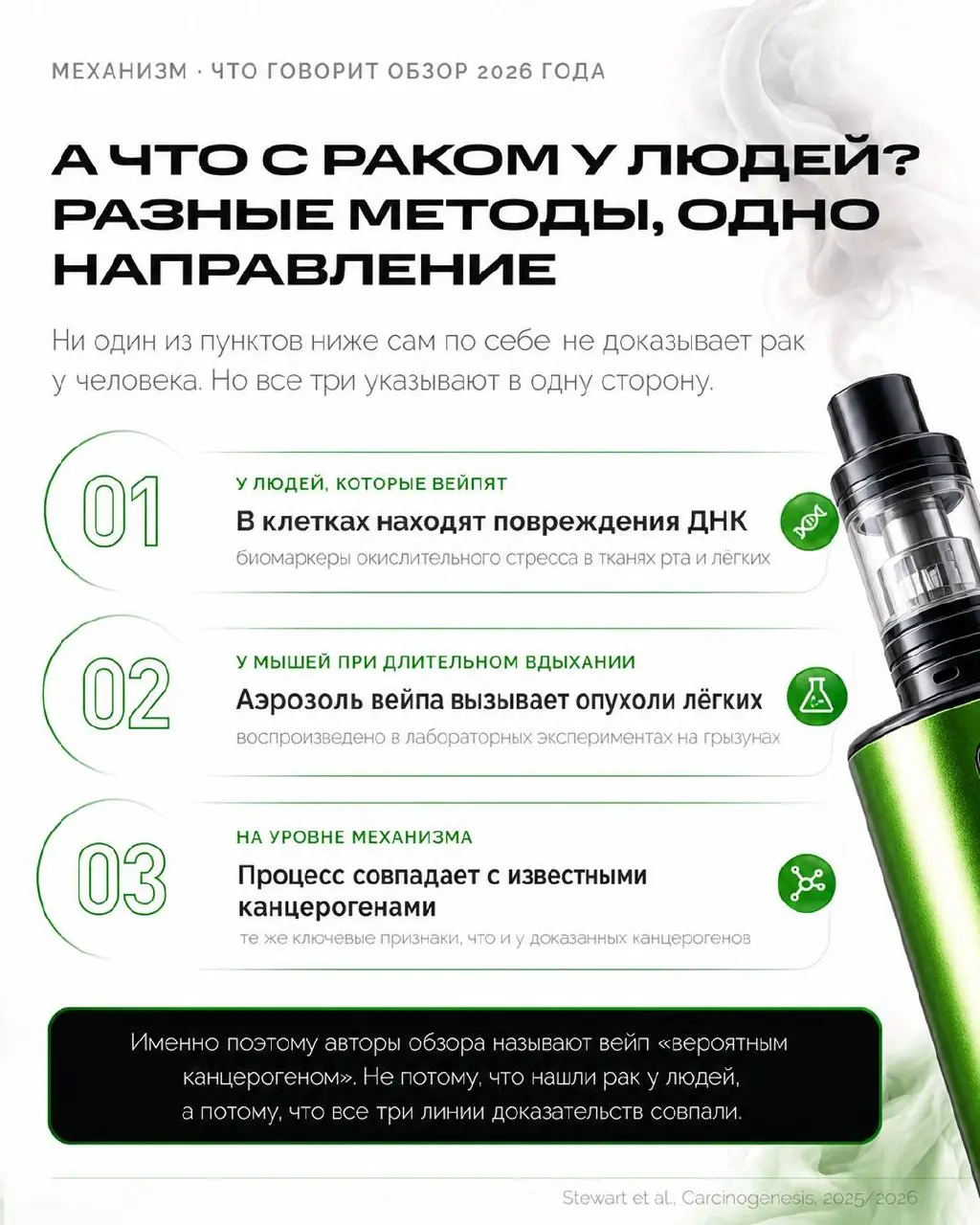 Все спорят, вреден вейпинг или нет, как будто ответ один на всех. А он разный - в зависимости от того, кто спрашивает | Сетка — социальная сеть от hh.ru