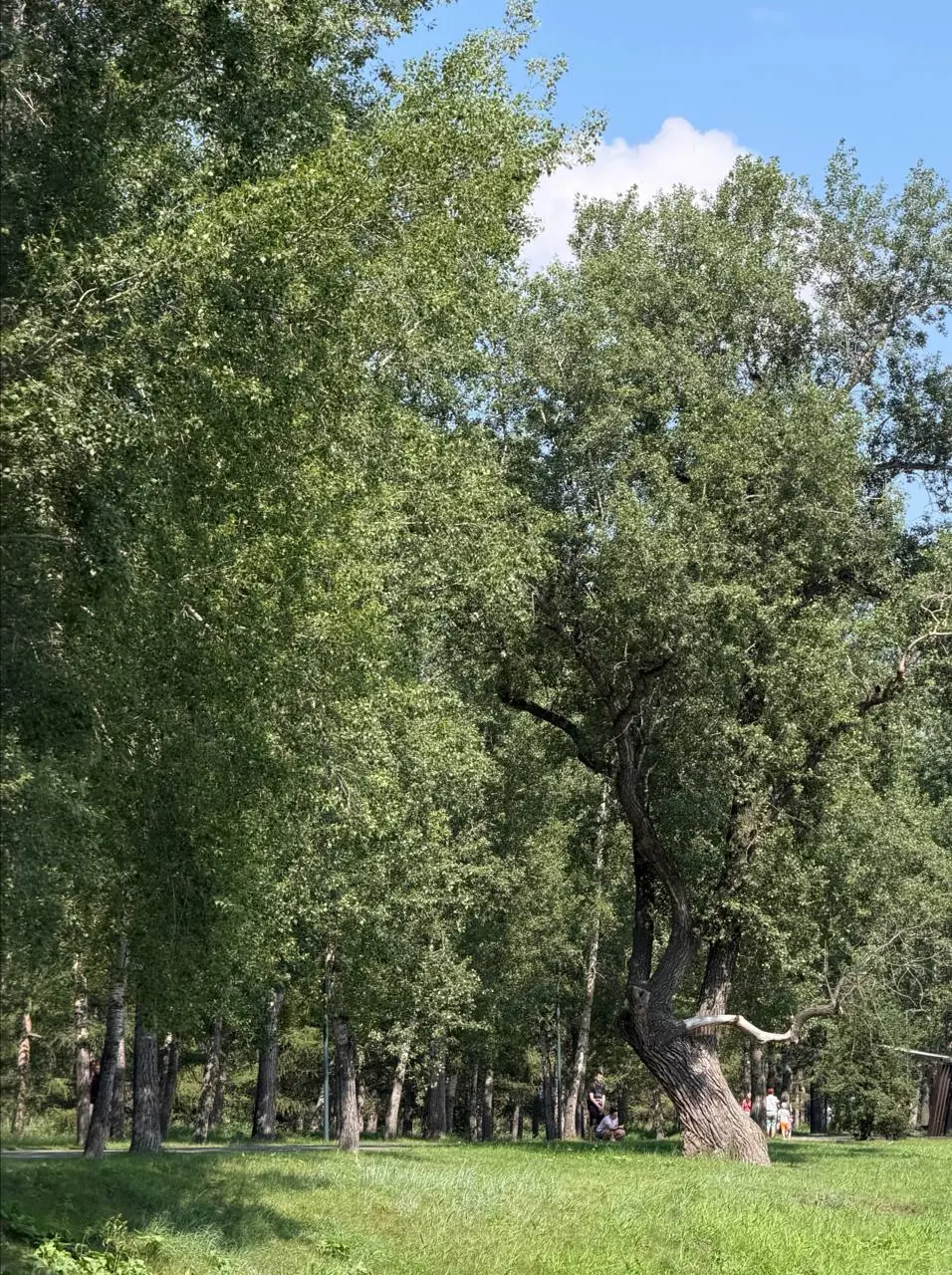 В этом месяце будет не только буквенный контент, но и немного нашего путешествия 🤪
Мы поехали в Сибирь и первой точкой стал город Красноярск. Это город моего рождения | Сетка — социальная сеть от hh.ru