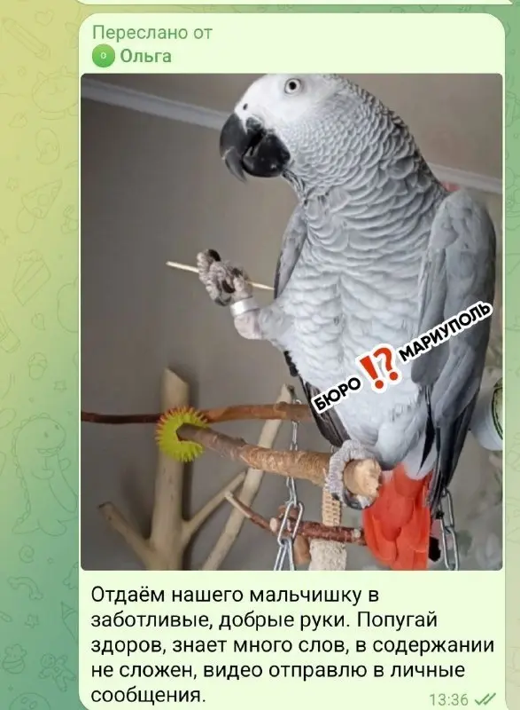 Доброе утро!
Хочу всех предостеречь, от мошенников | Сетка — социальная сеть от hh.ru