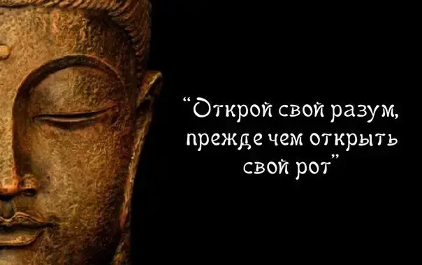 Немого философии | Сетка — социальная сеть от hh.ru