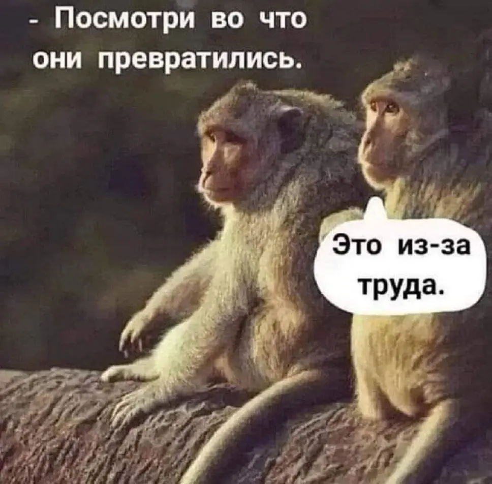 Среда — маленькая пятница | Сетка — социальная сеть от hh.ru