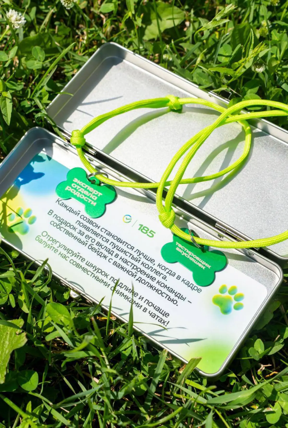 Команда Сбера в честь Международного дня собак, создала для питомцев сотрудников зелёные «бейджи» с серьёзными должностями: директор по гав-гав, тестировщик вкусняшек, заведующий лежанкой, лид по заку... | Сетка — социальная сеть от hh.ru