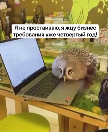 Чек-лист для заказчика, который сократит сбор требований НТ | Сетка — социальная сеть от hh.ru