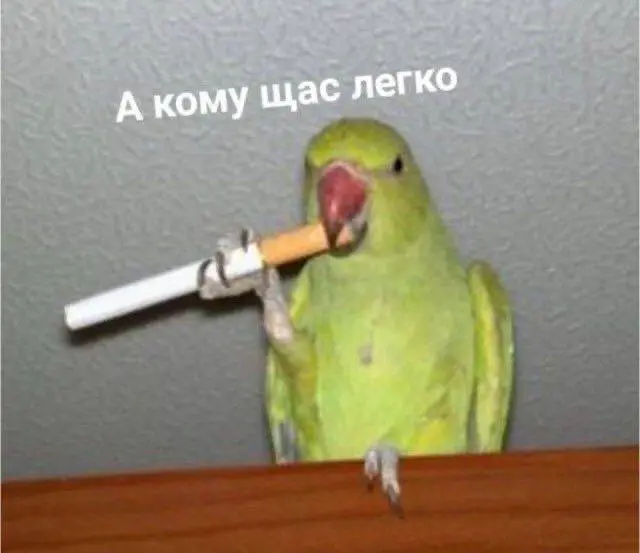 За три года в рекрутинге я поняла одну вещь. Оффер получает не самый крутой специалист, а тот кто умеет себя подать. Это несправедливо, да | Сетка — социальная сеть от hh.ru