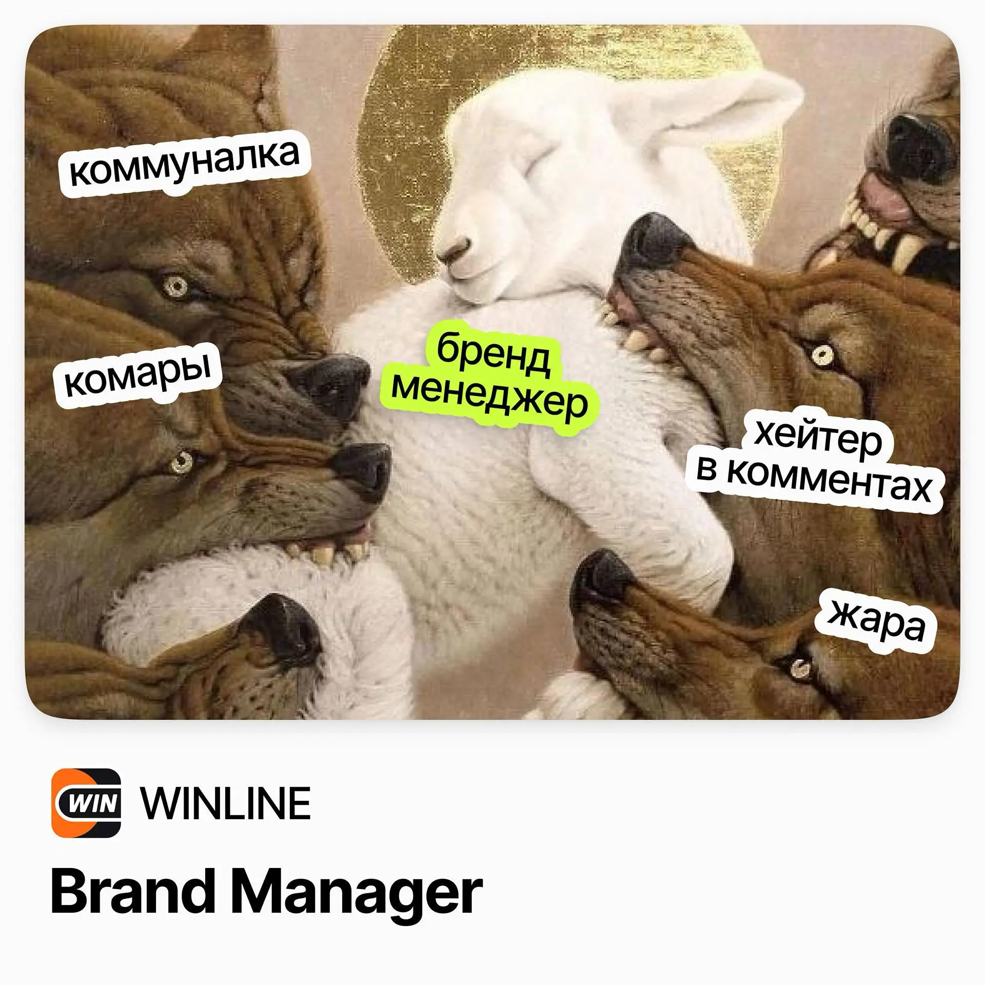🎯 Brand Manager / WINLINE
WINLINE — один из лидеров рынка букмекерских компаний в России | Сетка — социальная сеть от hh.ru