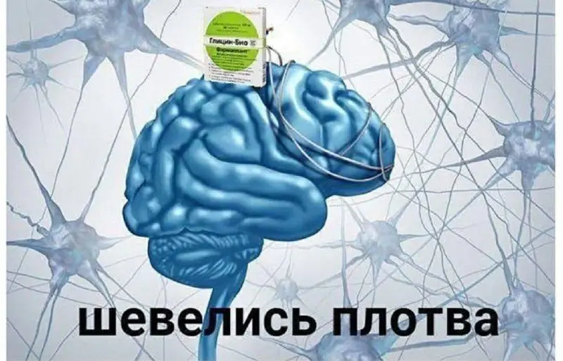 Ты дурак и я дурак | Сетка — социальная сеть от hh.ru