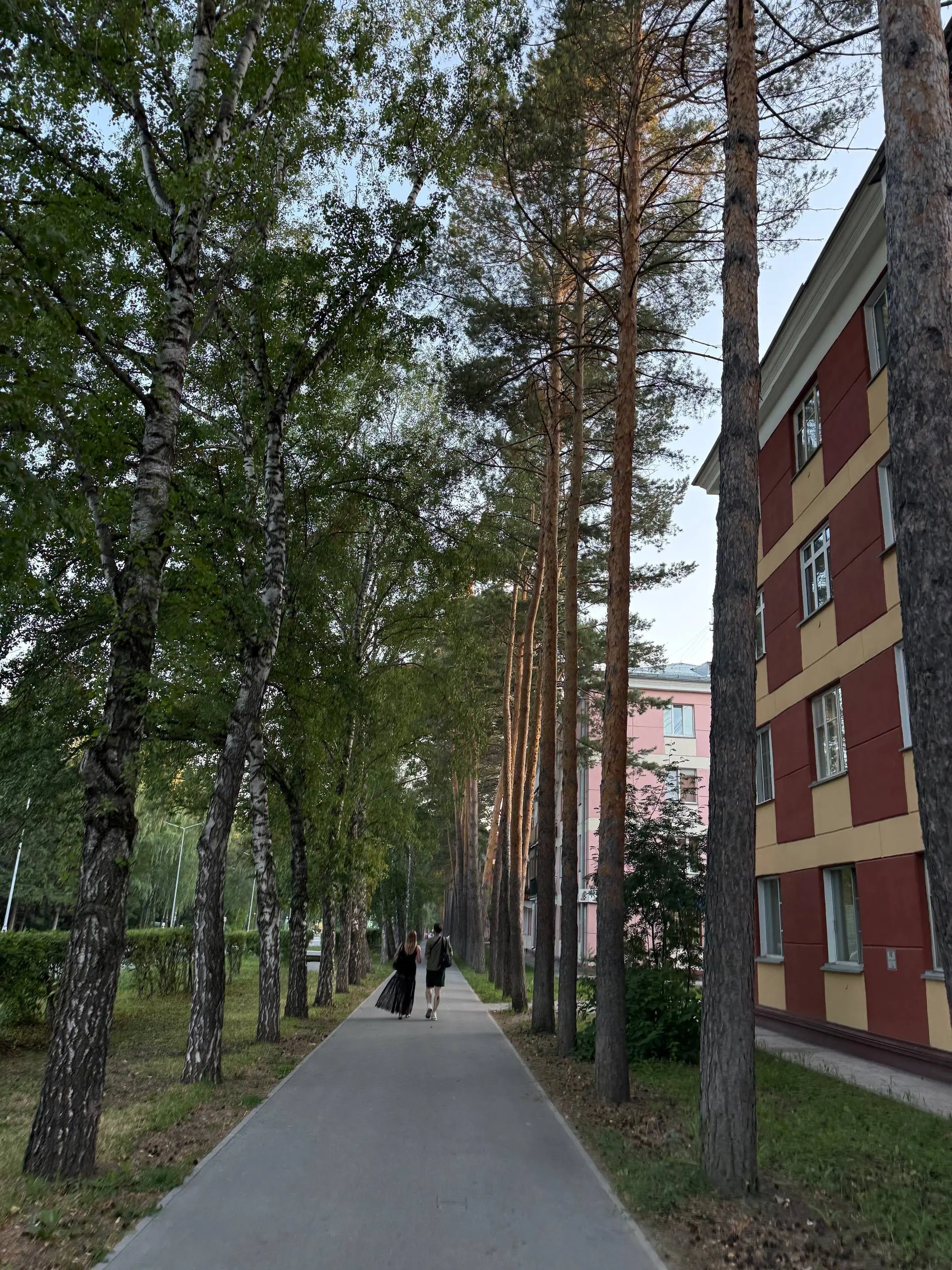 Атмосфера Академгородка — как отдельный вид медитации. Посмотрите какая милота 🫂
Завтра буду рад увидеться со всеми на Локальном коде 🫱🏻‍🫲🏼 | Сетка — социальная сеть от hh.ru