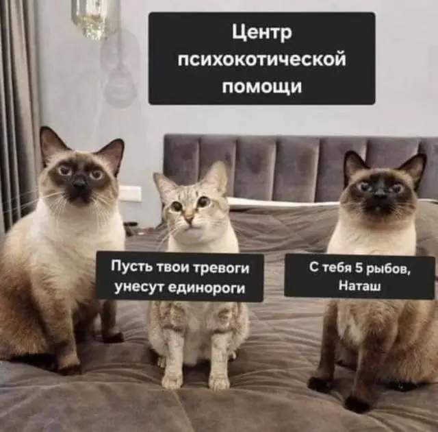 Я, наверное, не буду писать код ближайшее время. Надо разобраться с наследством и сложившейся ситуацией. | Сетка — социальная сеть от hh.ru