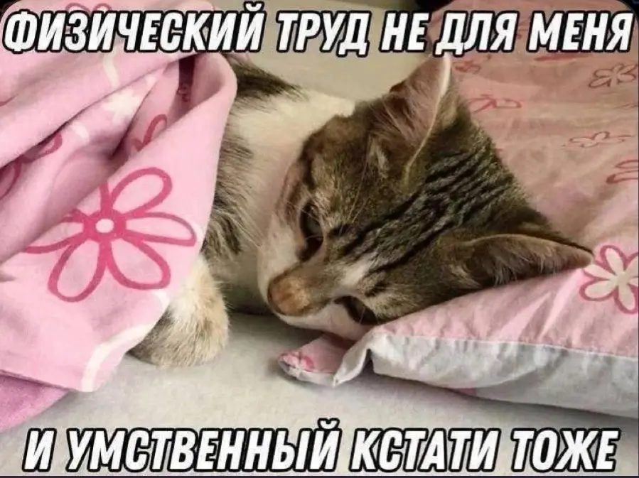 Связь комфорта с деградацией | Сетка — социальная сеть от hh.ru