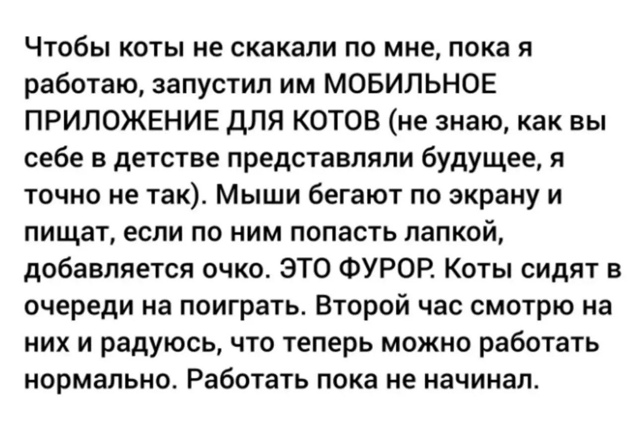 Новая реальность 😂
БЛОГ В ТГ / БЛОГ В MAX
#Юмор #Коты
В этом посте были ссылки, но мы их удалили по правилам Сетки | Сетка — социальная сеть от hh.ru
