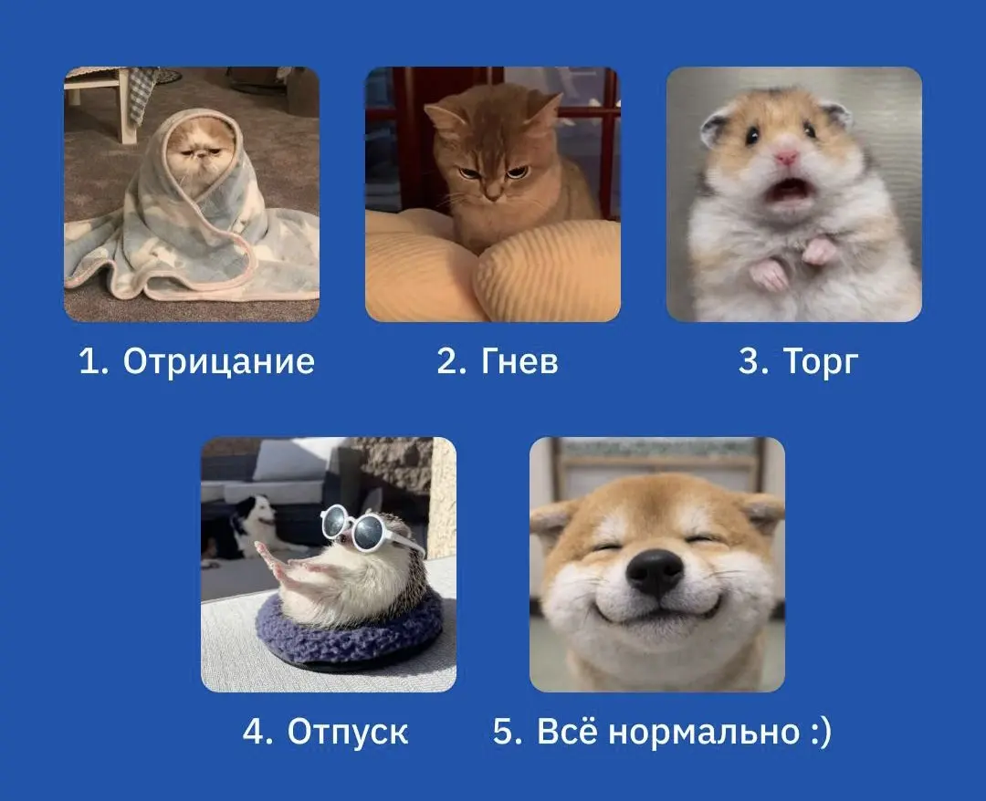 Рубрика «Вредные советы»: как гарантированно устать «отдыхать»
Мечта любого собственника и руководителя: уехать в отпуск, а потом каждые 15 минут проверять почту, отвечать на срочные вопросы и спасать... | Сетка — социальная сеть от hh.ru