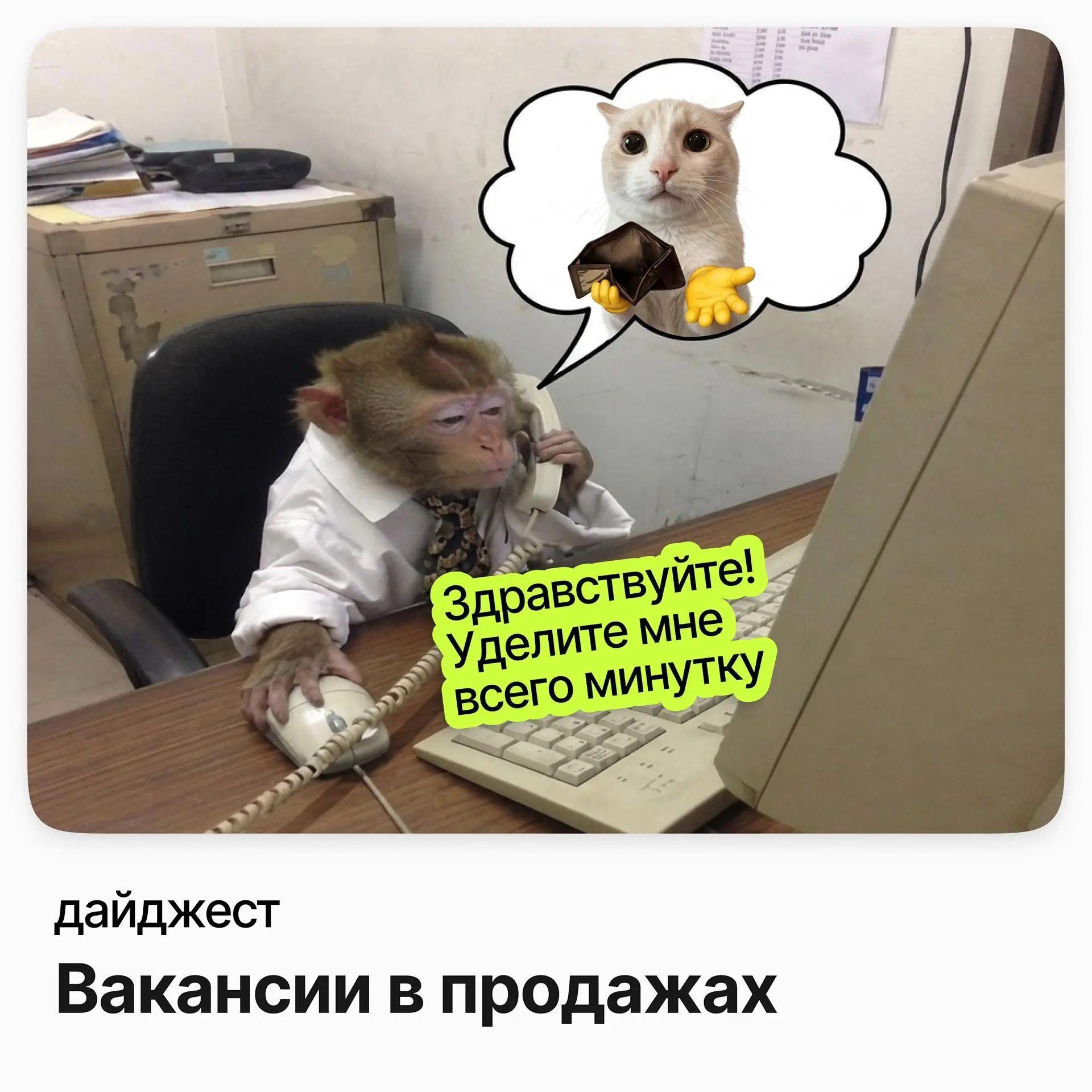 💼💼💼Вакансии в продажах — где платят за результат
Менеджер по работе с дилерами / S-Table
Зарплата: от 120 000 ₽ /на руки
Подробнее
Директор бутика / Mercury
Зарплата: от 217 000 ₽ /на руки
Подробнее
К... | Сетка — социальная сеть от hh.ru