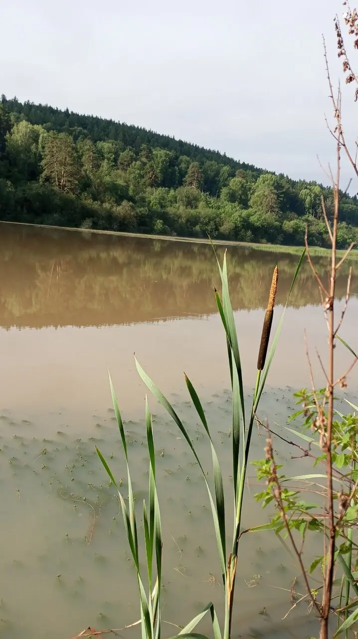 В поисках рыбы 🎣
Всё стабильно — уровень воды большой, вода грязная, рыба молчит😁🤟
Тревел комплект от KIMOTO всегда с собой.
Автор: Артём Обвинцев | Сетка — социальная сеть от hh.ru