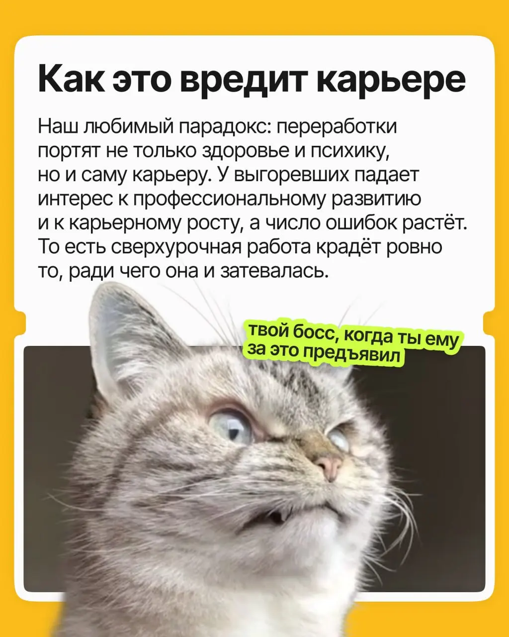 Решили задержаться на часок, а потом ещё раз, и ещё — и вот переработки уже стали привычкой. А они, как ни парадоксально, плохо сказываются на вашей карьере | Сетка — социальная сеть от hh.ru
