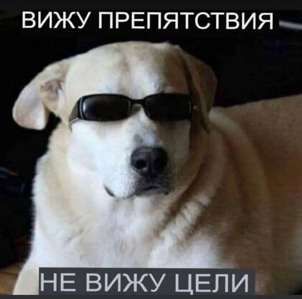 Полгода в поиске, резюме переписано десять раз, все советы из интернета прочитаны, а оферов ноль. Знакомо?
Это не потому что ты плохой специалист | Сетка — социальная сеть от hh.ru