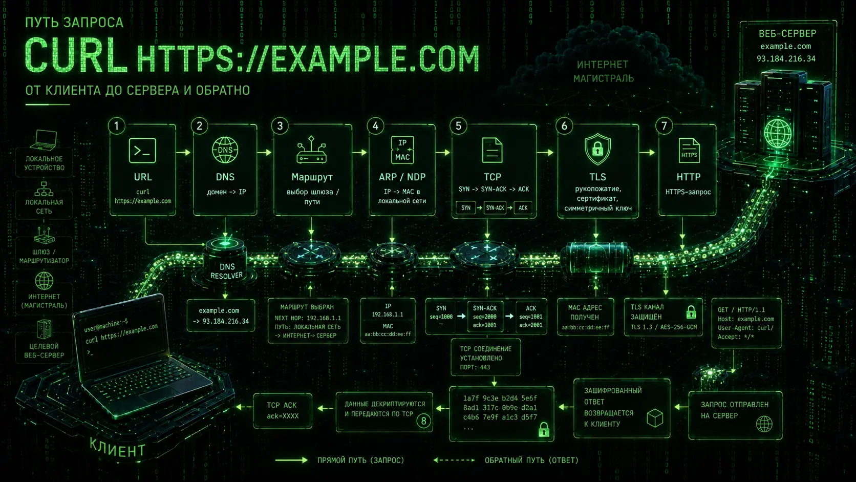 Что под копотом команды curl https://example.com | Сетка — социальная сеть от hh.ru
