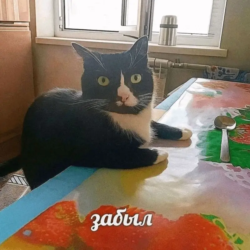 Вера Скрыль