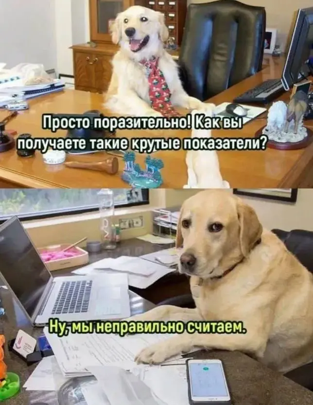 Отчёт идеальный. Пользователи в курсе? 🧐 | Сетка — социальная сеть от hh.ru