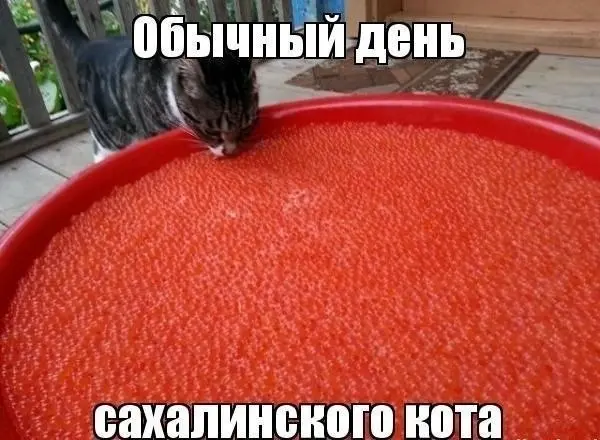 Счастливая жизнь 😂
БЛОГ В ТГ / БЛОГ В MAX
#Юмор
В этом посте были ссылки, но мы их удалили по правилам Сетки | Сетка — социальная сеть от hh.ru