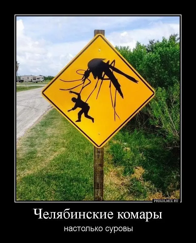 Утро | Сетка — социальная сеть от hh.ru