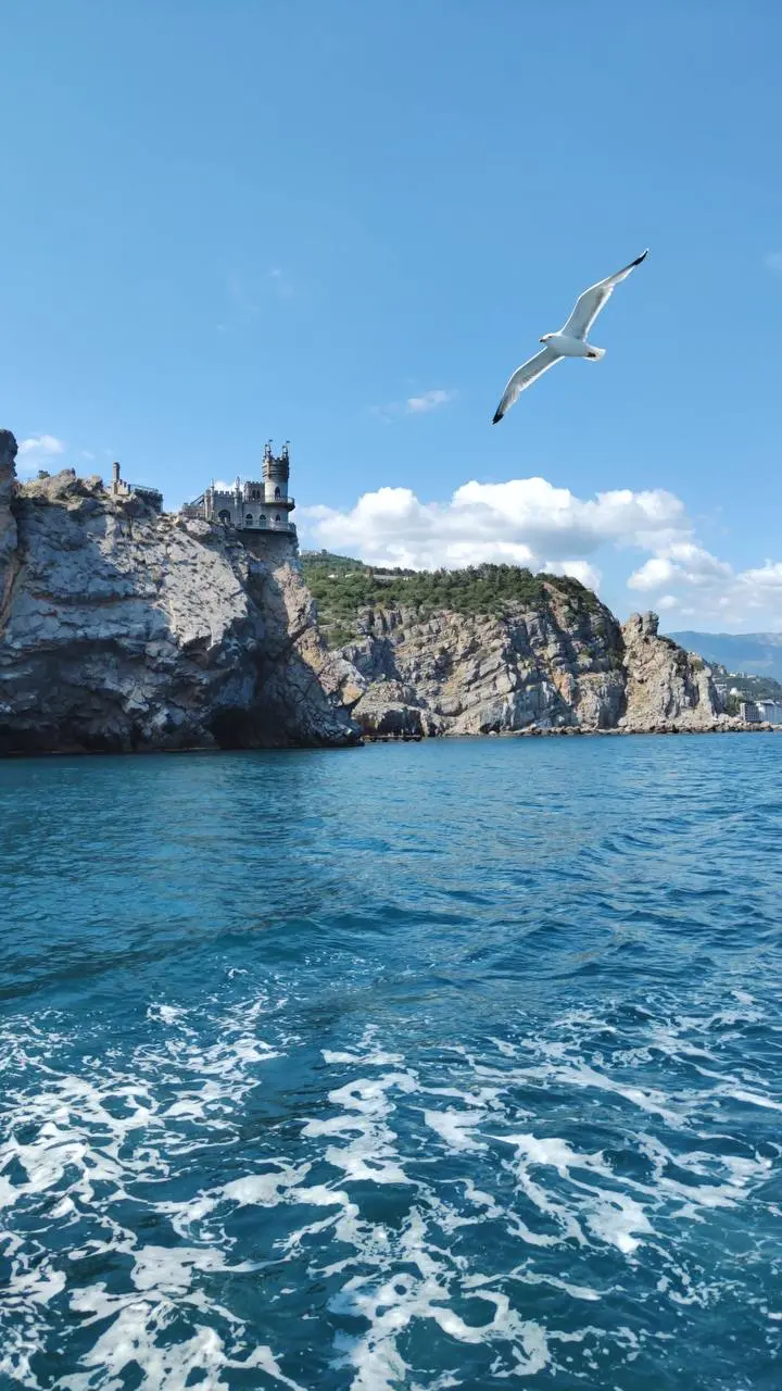 Квартиры у моря 🌊 Актуальные предложения на сегодня | Сетка — социальная сеть от hh.ru