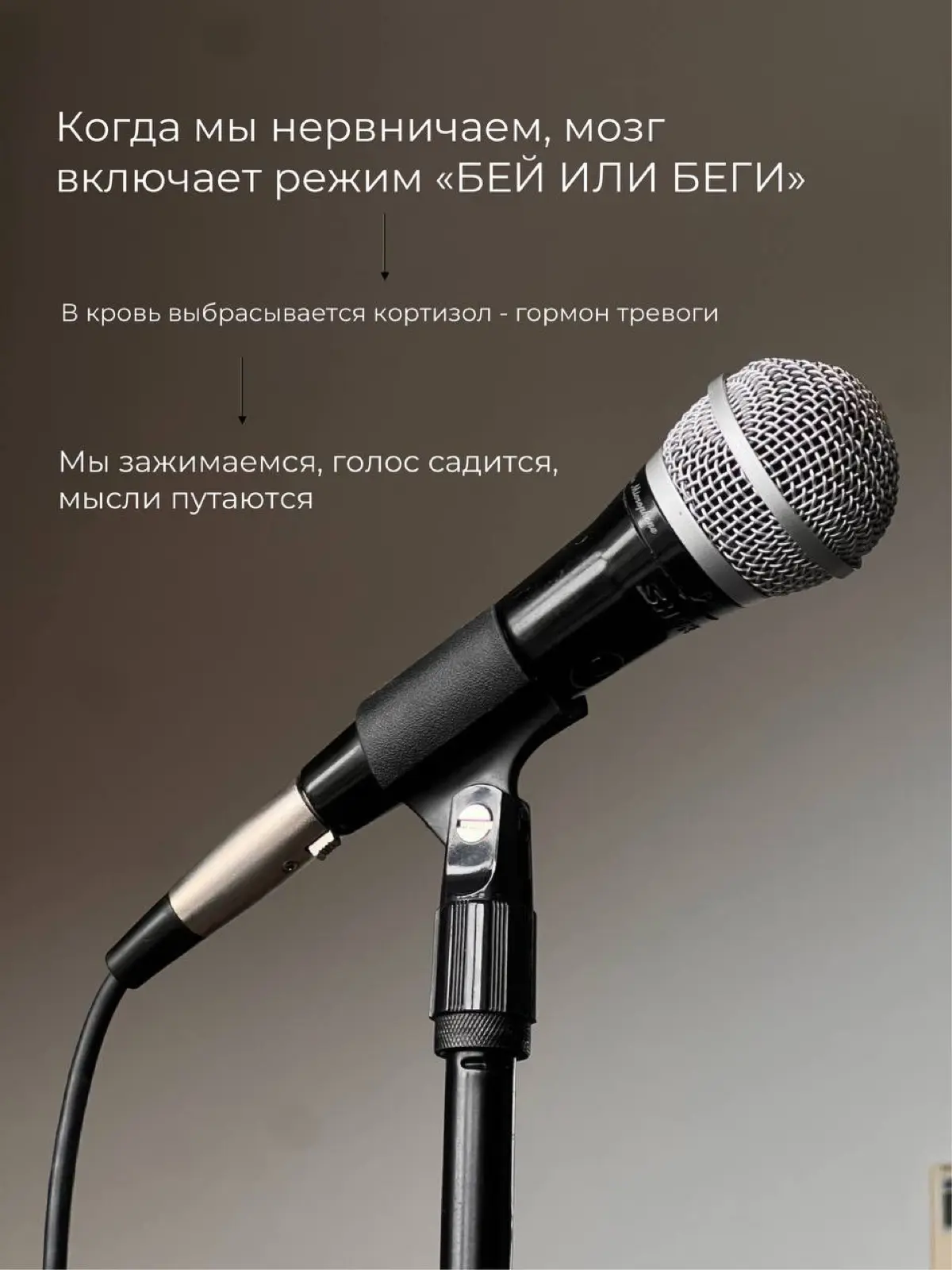 Я занимаюсь музыкой много лет.
Что мозг и синапс нейронов это очень развитвает и ускоряет | Сетка — социальная сеть от hh.ru