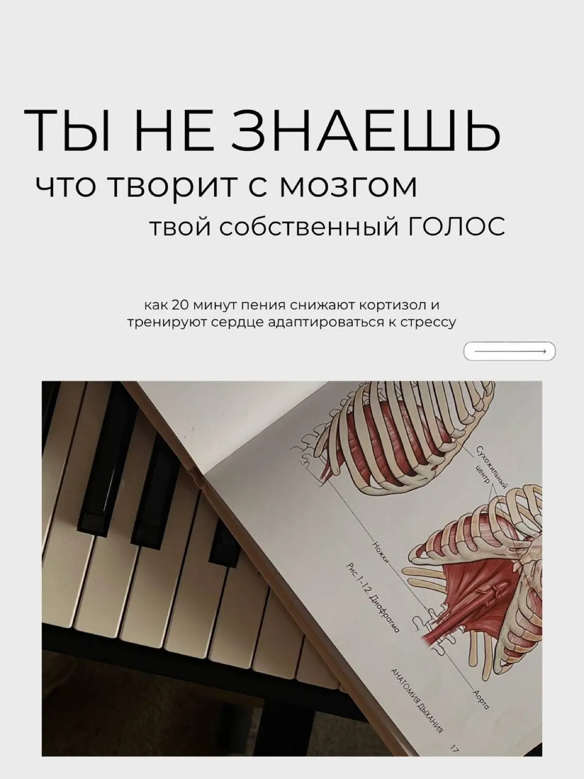 Я занимаюсь музыкой много лет.
Что мозг и синапс нейронов это очень развитвает и ускоряет | Сетка — социальная сеть от hh.ru