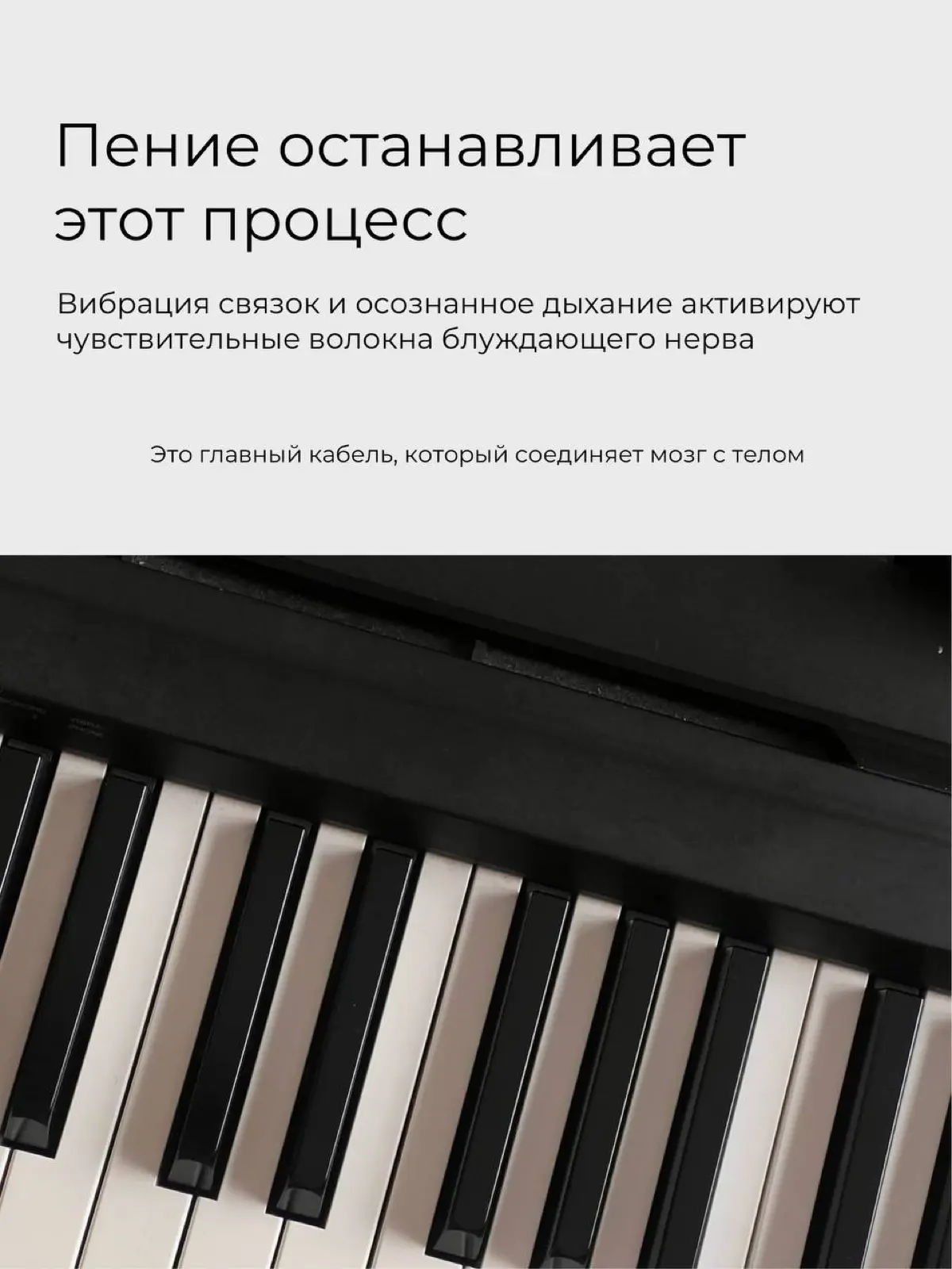 Я занимаюсь музыкой много лет.
Что мозг и синапс нейронов это очень развитвает и ускоряет | Сетка — социальная сеть от hh.ru