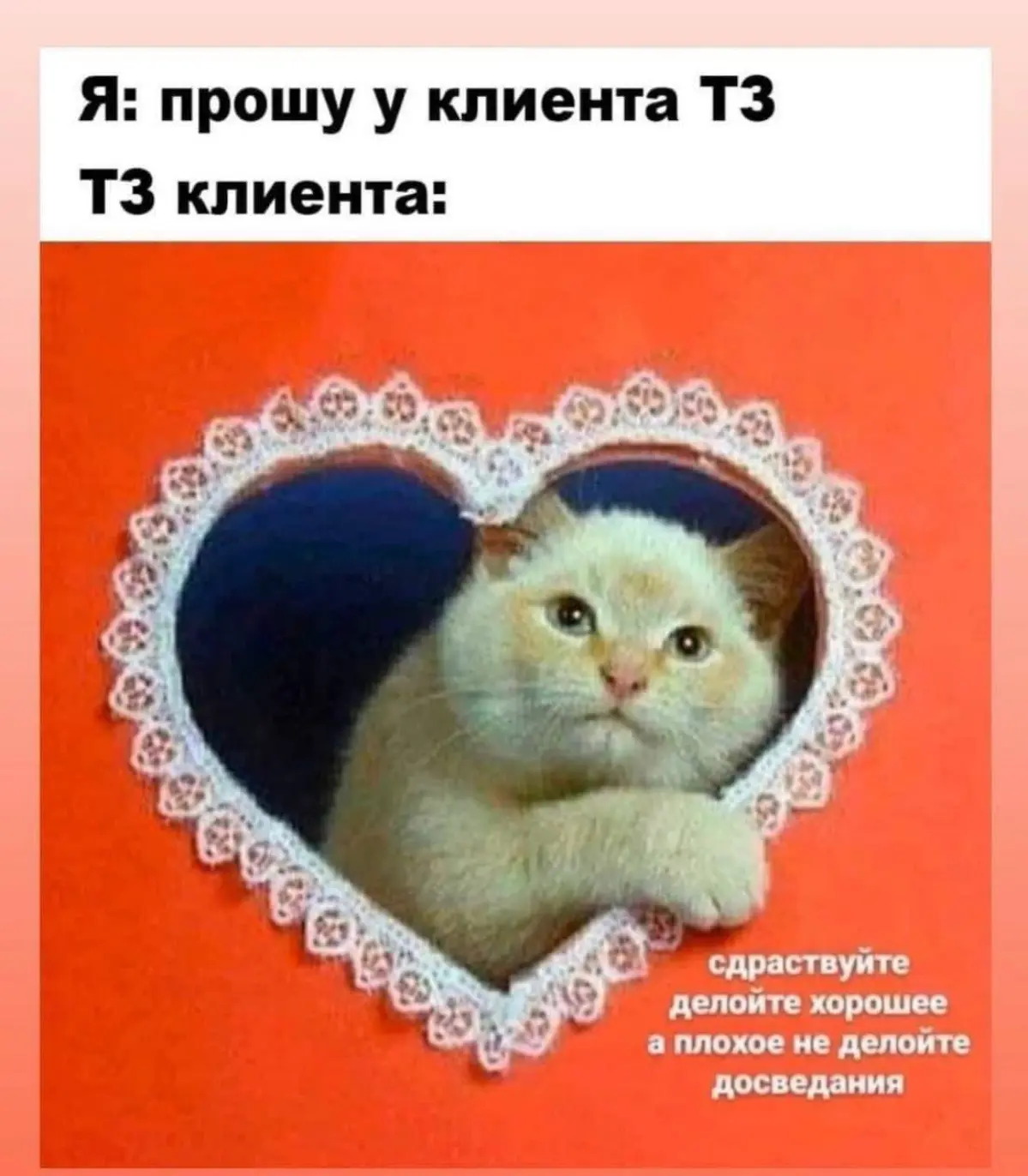 Мой любимый мем, актуальный во все времена для всех профессий😁 | Сетка — социальная сеть от hh.ru