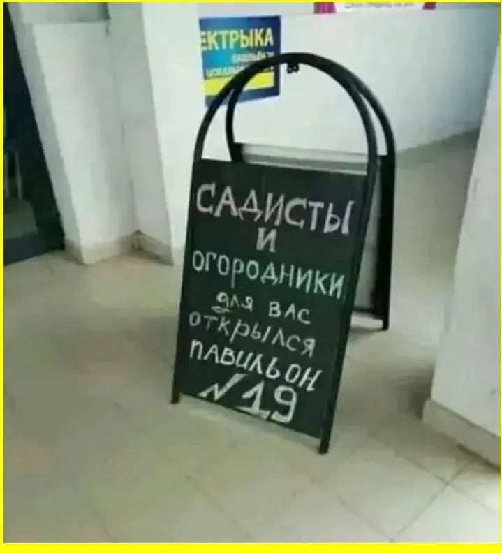 Большие Деревья Сажайте Мастерски | Сетка — социальная сеть от hh.ru