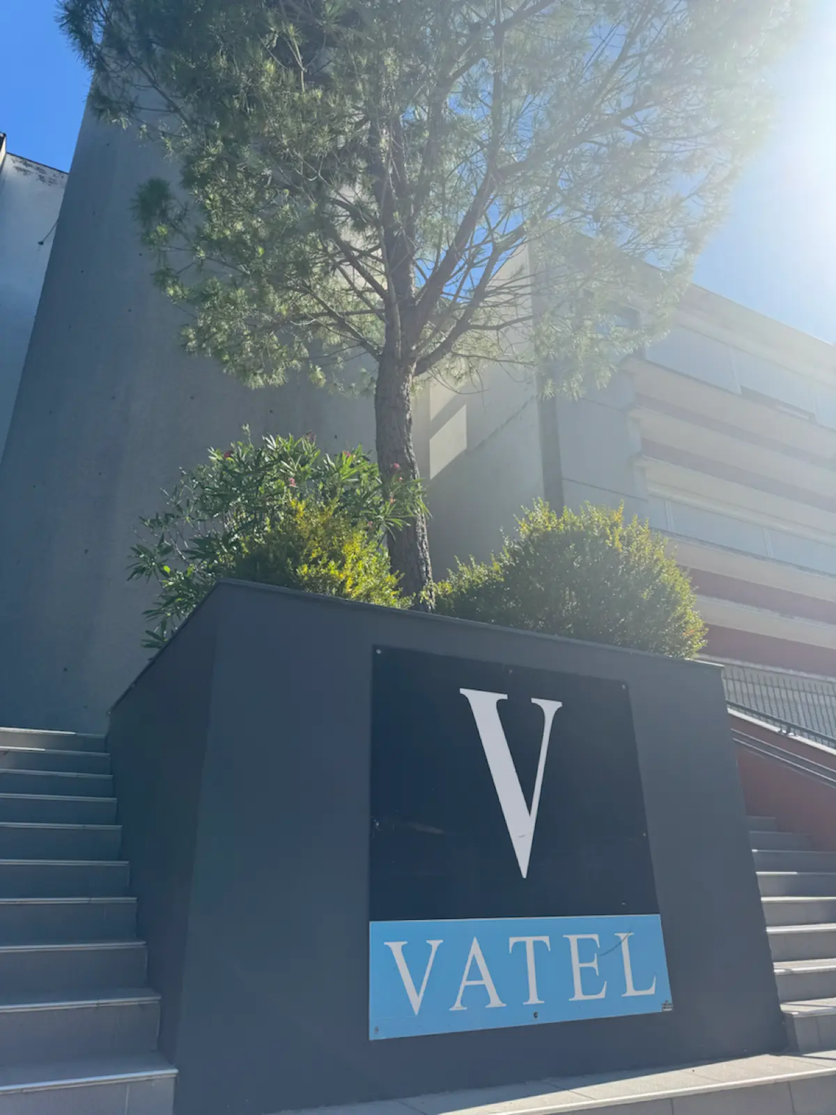 3 месяца практики в городе Ним, Франция
📍Vatel Hotel & SPA | Сетка — социальная сеть от hh.ru