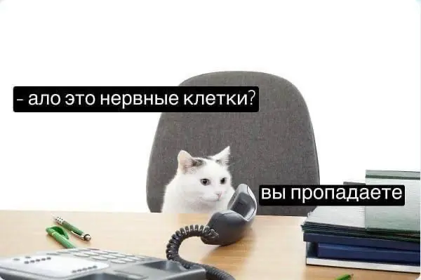 Два начальника рвут на части | Сетка — социальная сеть от hh.ru