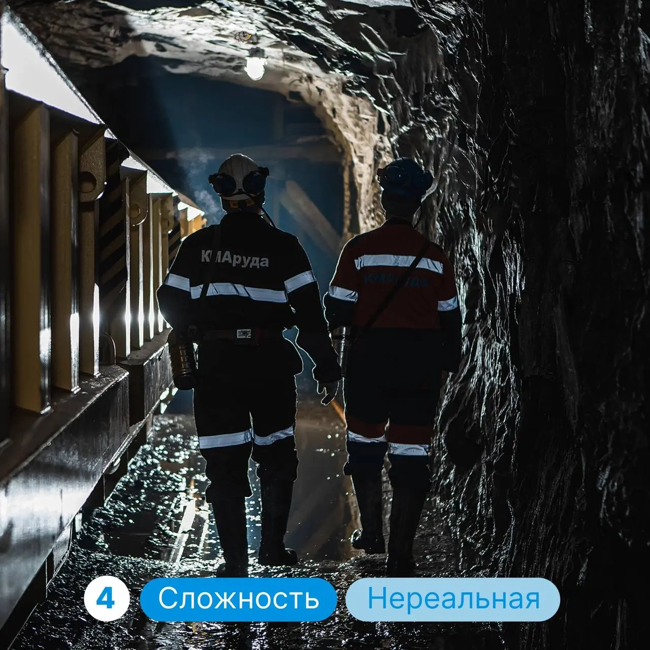 Давайте потренируем вашу внимательность и найдем Коксика на фотографиях без подсказок🤓
Будьте бдительны, он совсем малыш и может прятаться в неочевидных местах💙🔎 | Сетка — социальная сеть от hh.ru