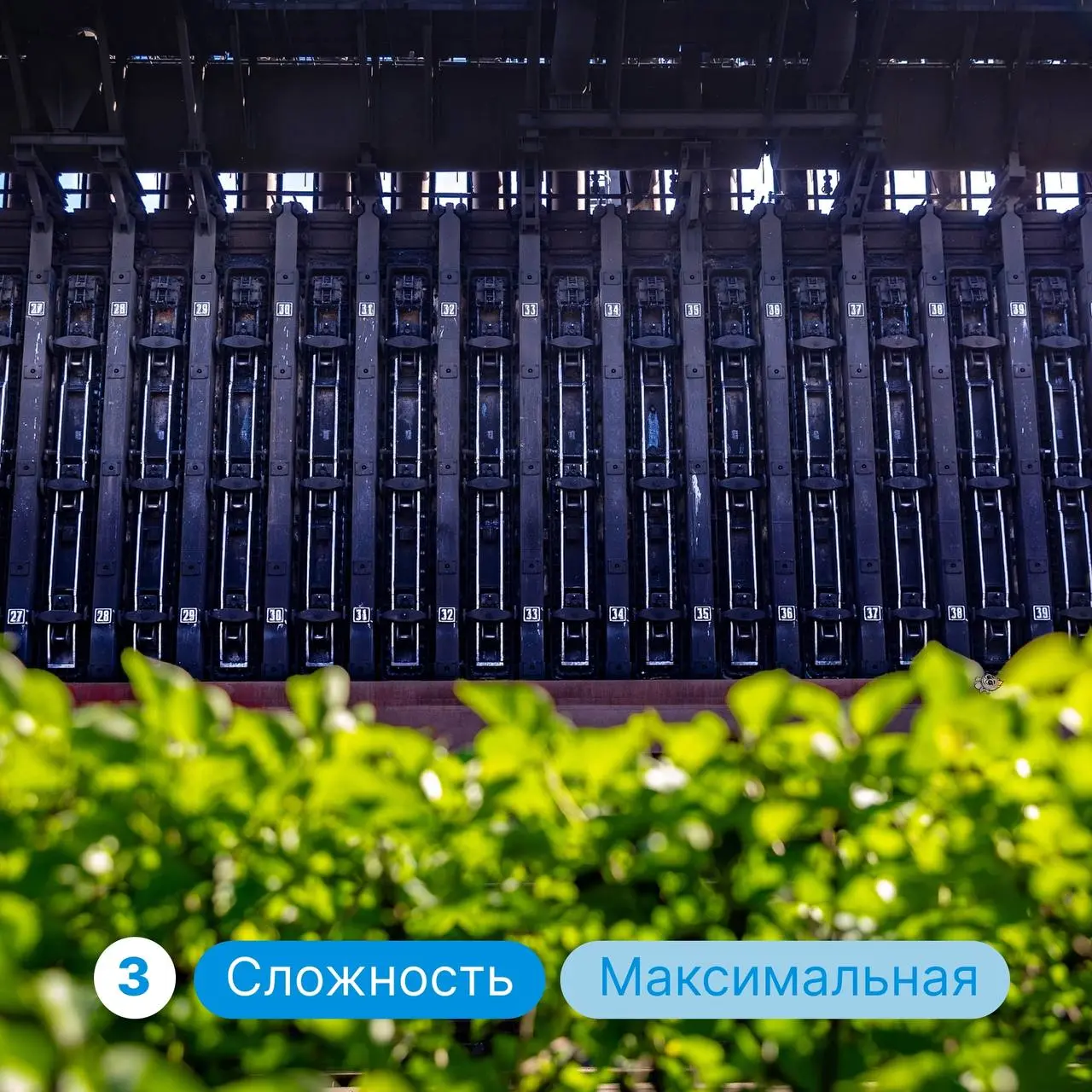 Давайте потренируем вашу внимательность и найдем Коксика на фотографиях без подсказок🤓
Будьте бдительны, он совсем малыш и может прятаться в неочевидных местах💙🔎 | Сетка — социальная сеть от hh.ru