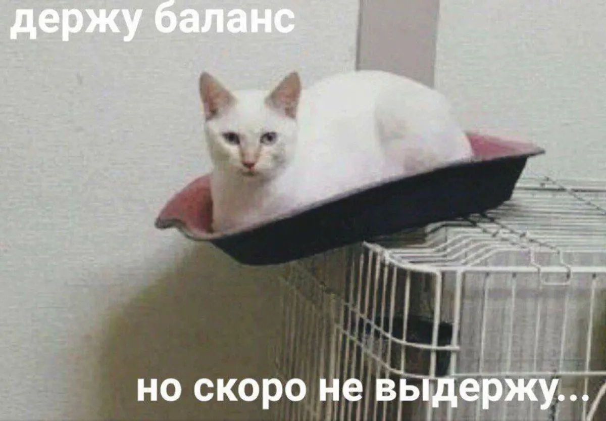 Реальный кейс из моей практики: кандидат и “невидимый помощник” на интервью
Реальная история.
Кандидат — сильное резюме, хороший стек.
Начинаем интервью — и сначала всё ок | Сетка — социальная сеть от hh.ru