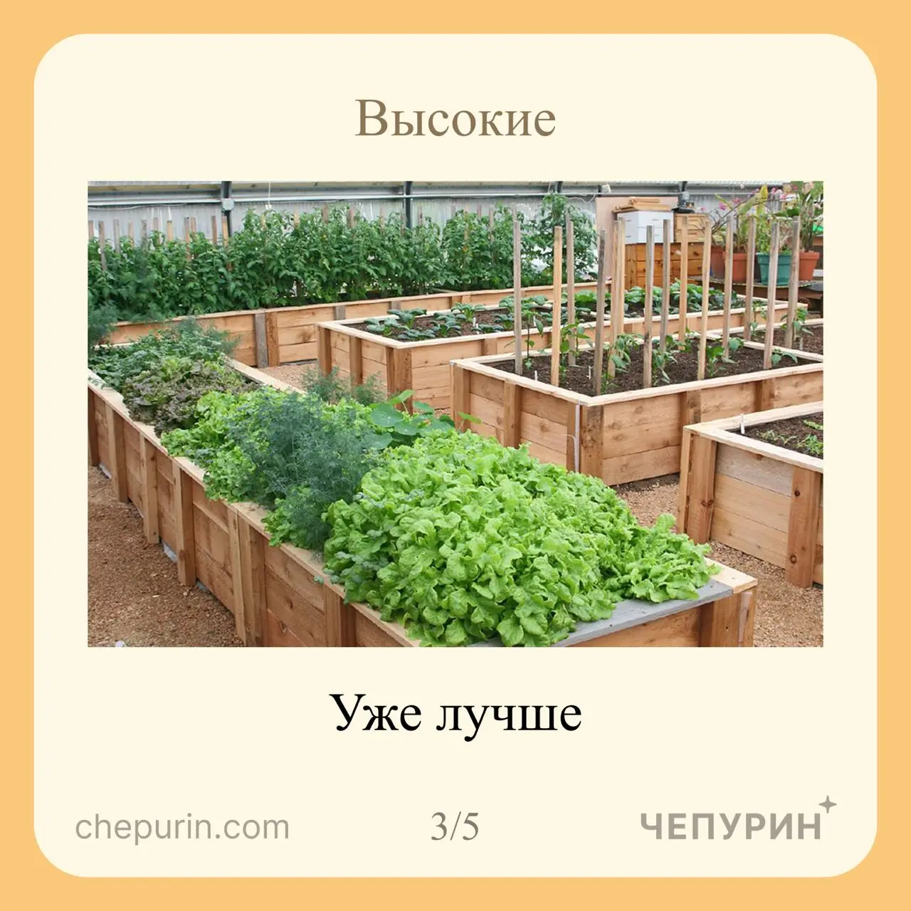 Спроектировал грядку: обычная — наклон почти до земли, высокая — по пояс, но всё равно гнёшься. Поднял на 90 см, до уровня столешницы — наклона не стало | Сетка — социальная сеть от hh.ru