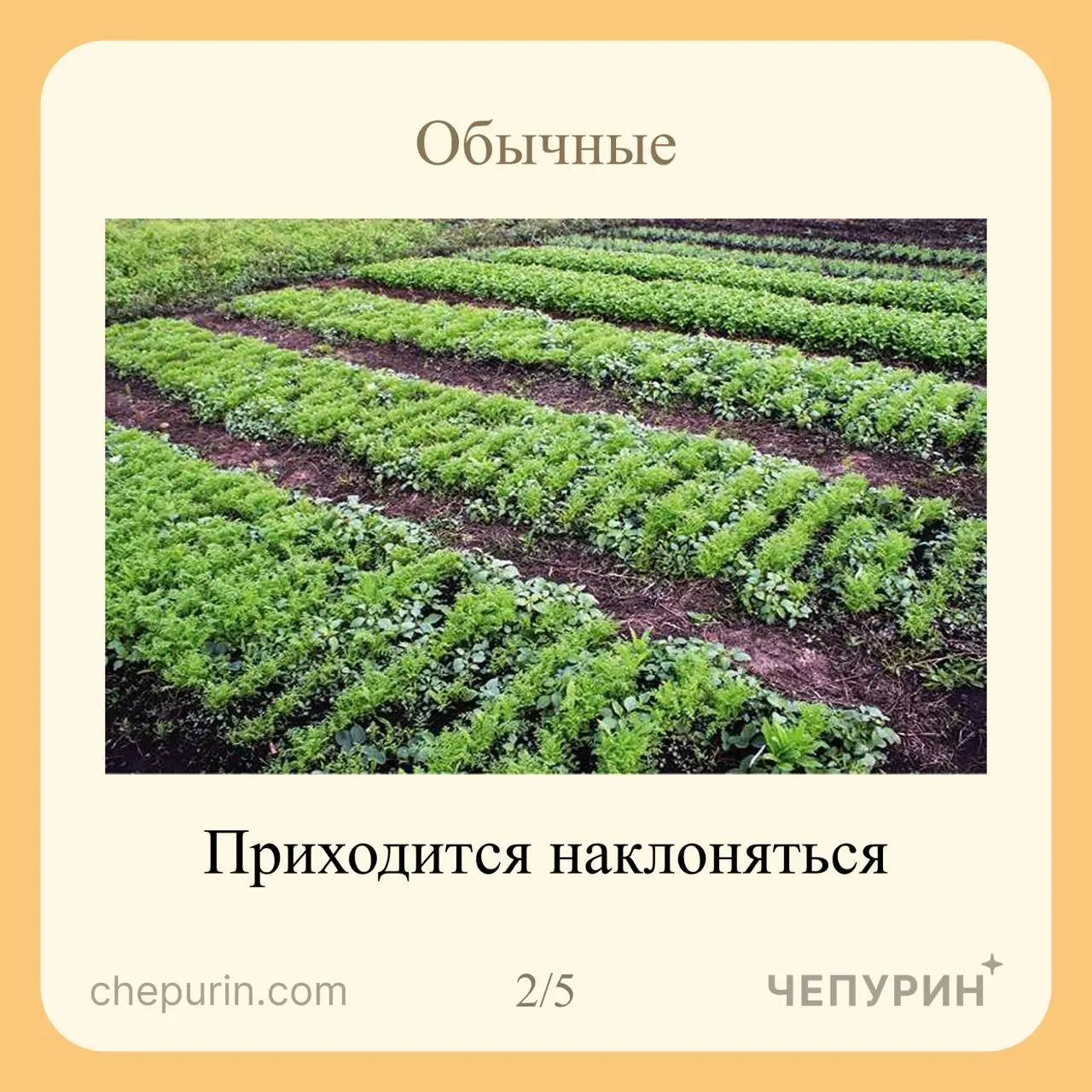 Спроектировал грядку: обычная — наклон почти до земли, высокая — по пояс, но всё равно гнёшься. Поднял на 90 см, до уровня столешницы — наклона не стало | Сетка — социальная сеть от hh.ru