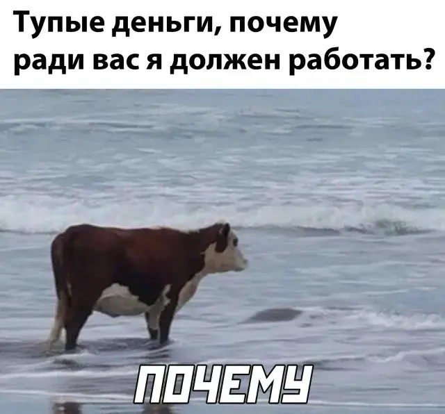 Ты много откликаешься, но… Это кликбейт?😁 | Сетка — социальная сеть от hh.ru