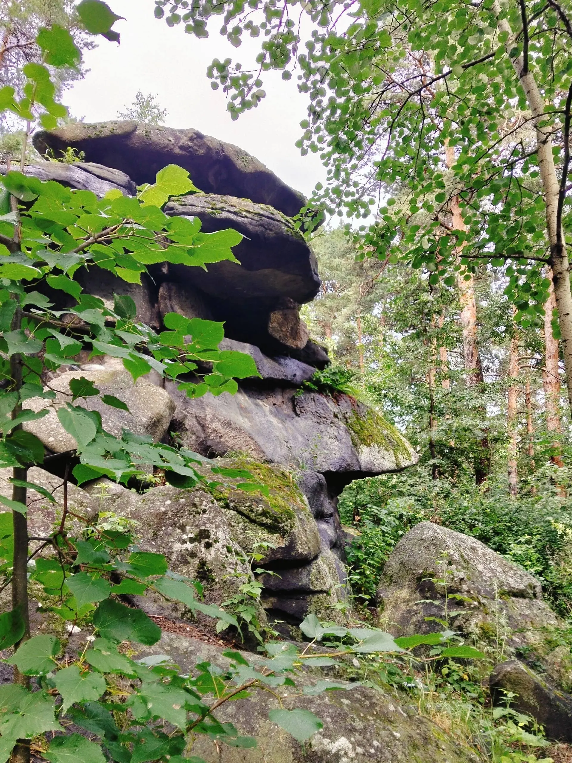 Лето на озере Шарташ. 🌞Самое время для прогулок и лёгких походов 💯. | Сетка — социальная сеть от hh.ru