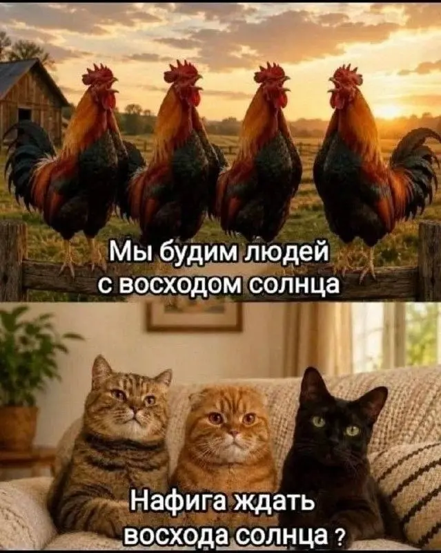 Зачем вставать с восходом Солнца, если можно встать ещё раньше 😂
От любимого клиента Валентины ❤️
БЛОГ В ТГ / БЛОГ В MAX
#Юмор #Коты
В этом посте были ссылки, но мы их удалили по правилам Сетки | Сетка — социальная сеть от hh.ru