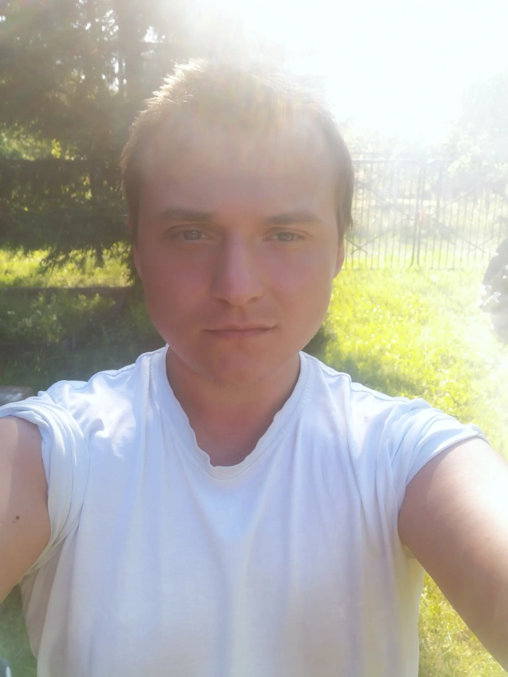 Николай Приходько