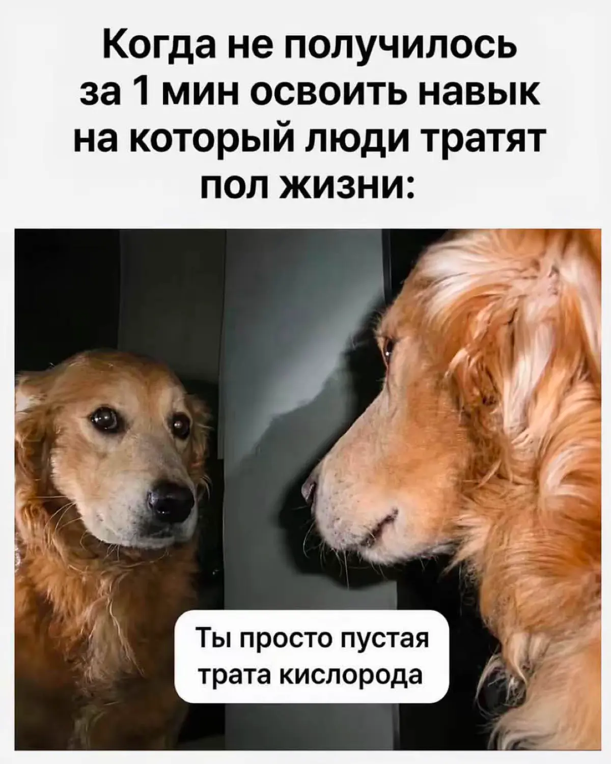 Ну что, узнаете себя? 😅 | Сетка — социальная сеть от hh.ru
