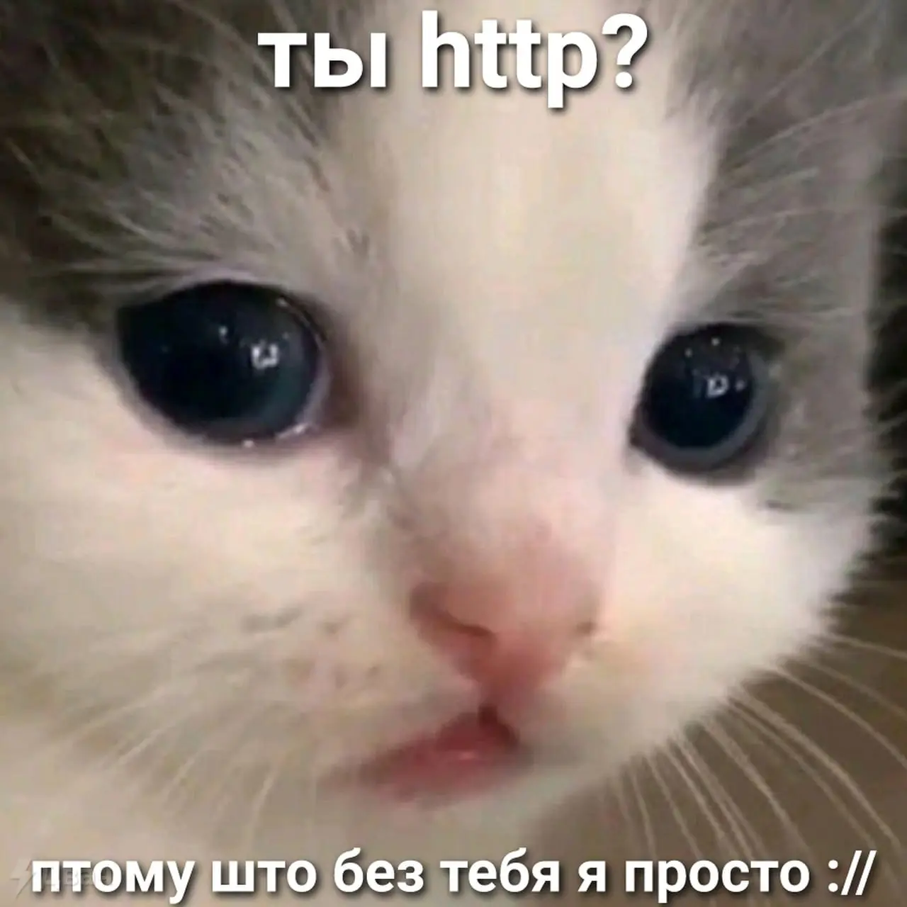 😊 Как быстро найти работу 5.0
Откликаться 200 раз в день, каждый день. Даже если вы будете приходить на собеседование пьяный, или откровенно врете в кейсах — вы все-равно, за счет объема, ее найдете | Сетка — социальная сеть от hh.ru