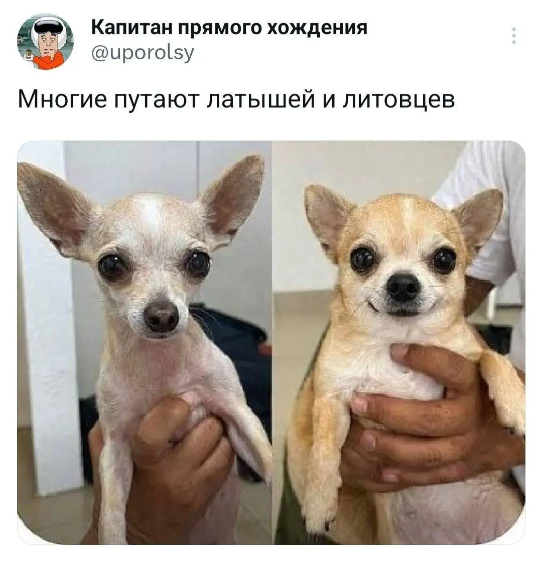 Регулярная рубрика субботние #мемы
Мои дорогие, лето бежит, мчится | Сетка — социальная сеть от hh.ru