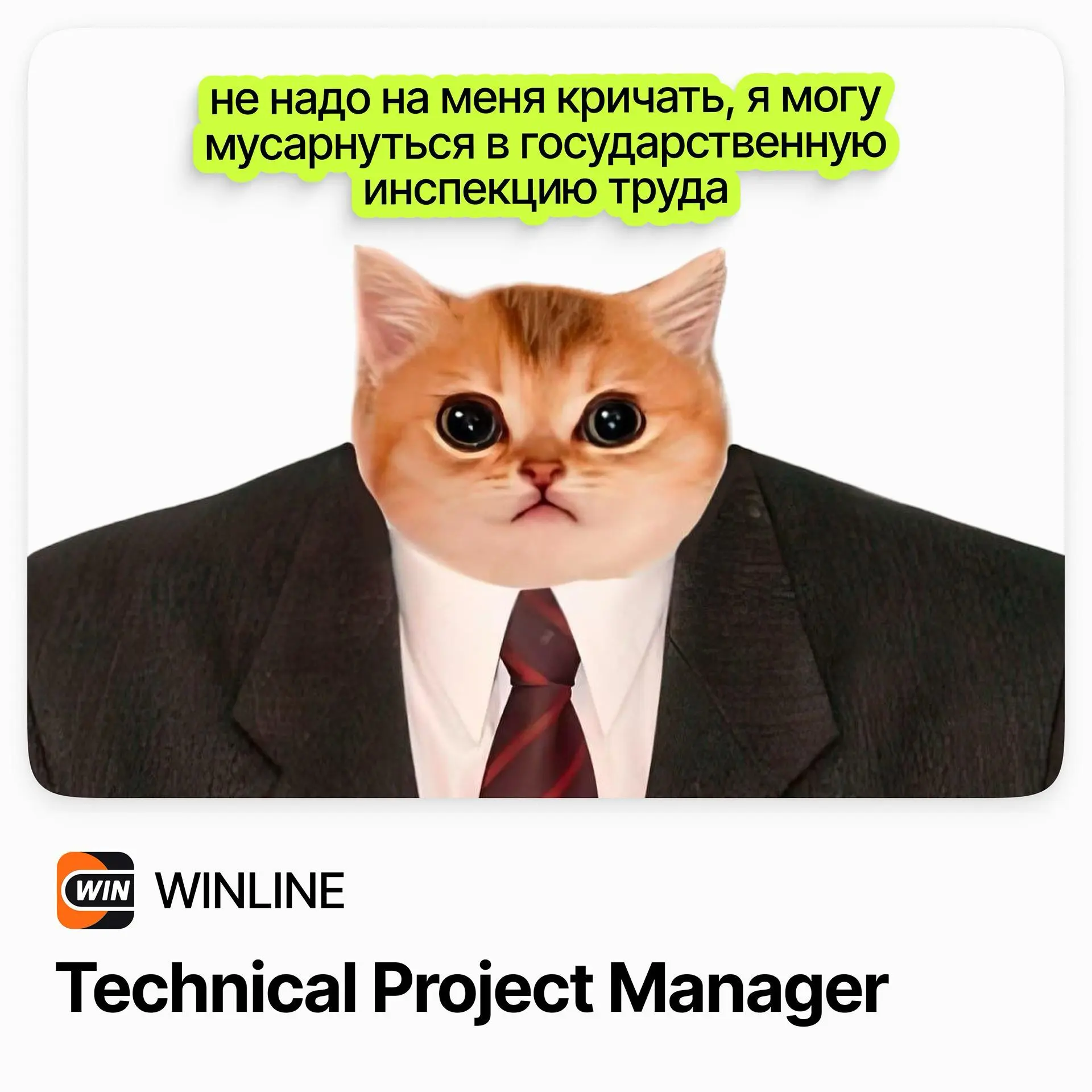 🚀 Technical Project Manager / WINLINE
WINLINE — одна из ведущих букмекерских компаний России, формирующая стандарты индустрии | Сетка — социальная сеть от hh.ru