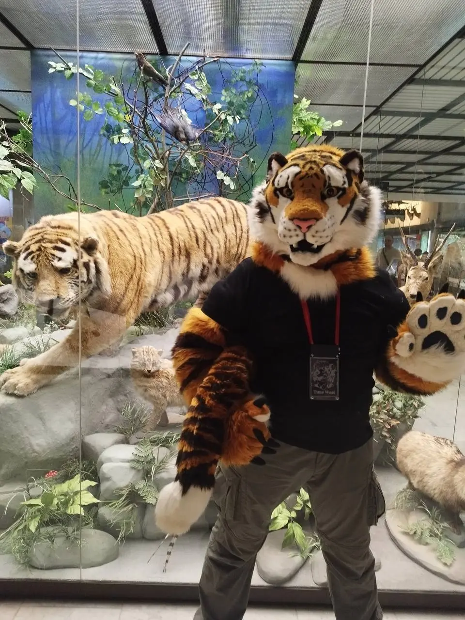 🐅Бесплатный вход в Дарвиновский музей для посетителей в костюме тигра
25 июля
В Международный день тигра посетителей ждёт подарок – бесплатный вход в музей | Сетка — социальная сеть от hh.ru