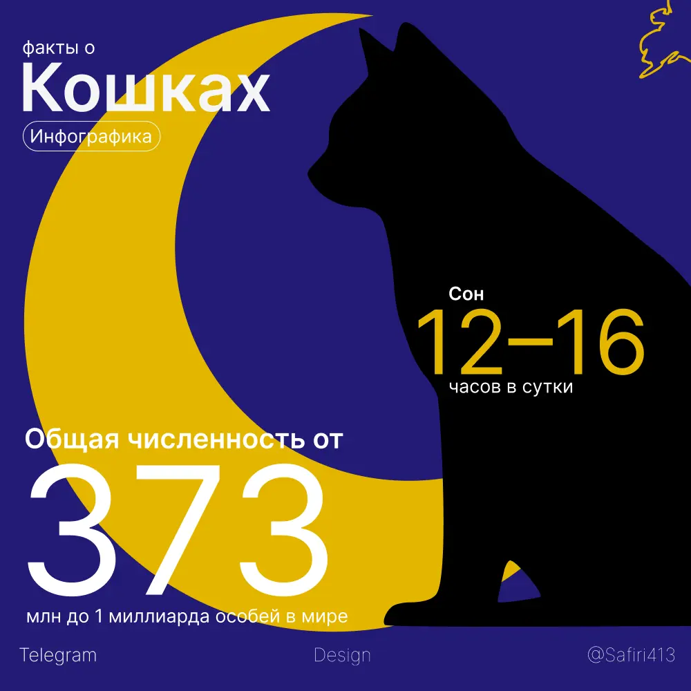 5 день инфографика про кошечек | Сетка — социальная сеть от hh.ru