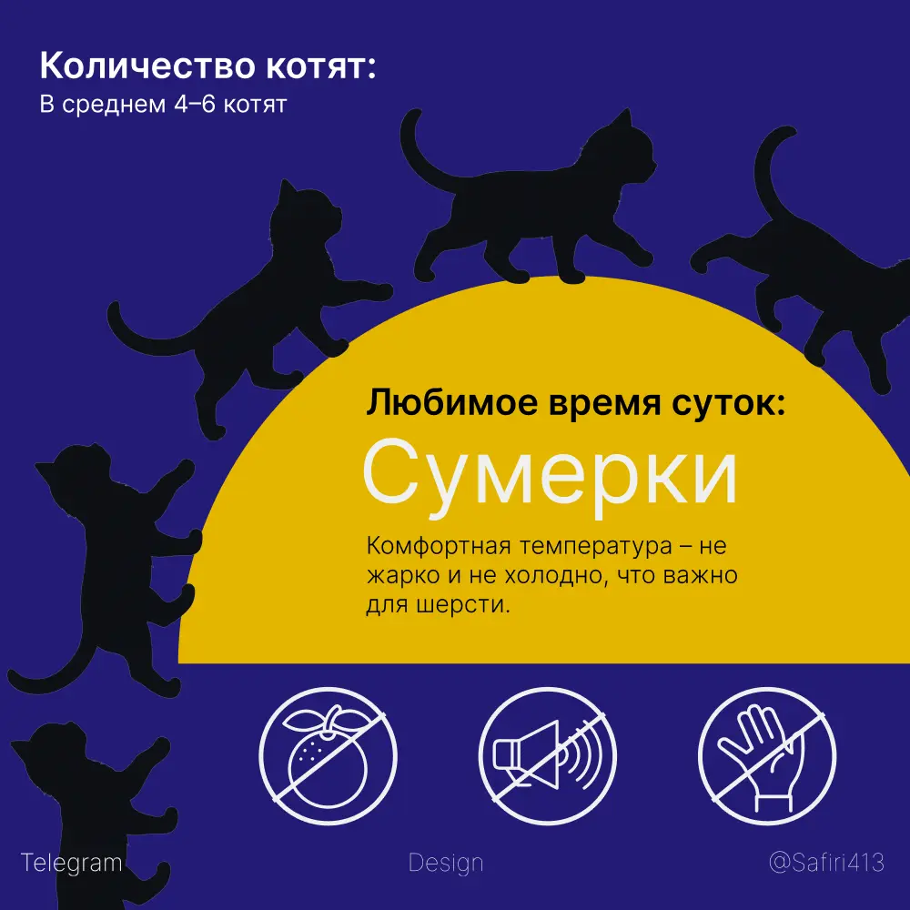 5 день инфографика про кошечек | Сетка — социальная сеть от hh.ru