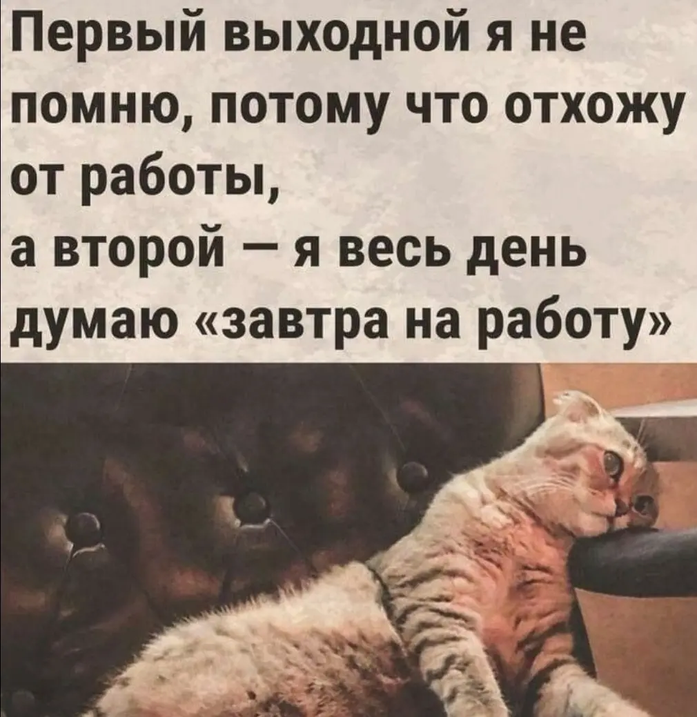 Завтра понедельник😉 | Сетка — социальная сеть от hh.ru